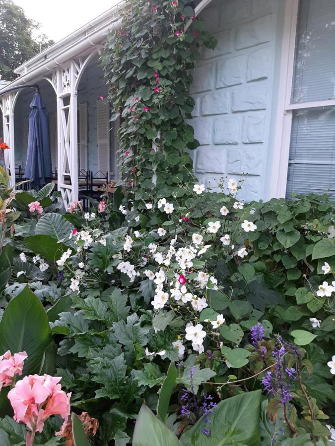 Adley House Bed & Breakfast Oudtshoorn Bagian luar foto